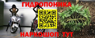 прущие крисы Краснокаменск