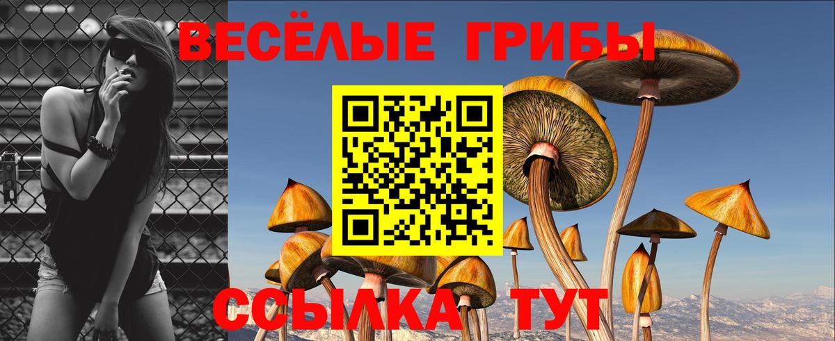 Галлюциногенные грибы прущие грибы Кольчугино