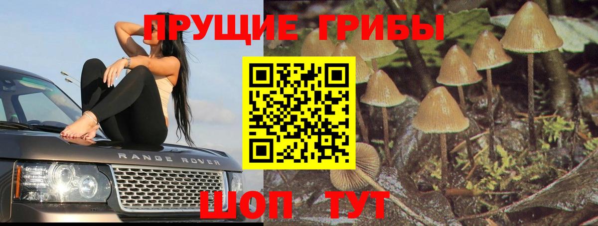 Галлюциногенные грибы MAGIC MUSHROOMS  Вход с VPN  Кольчугино 