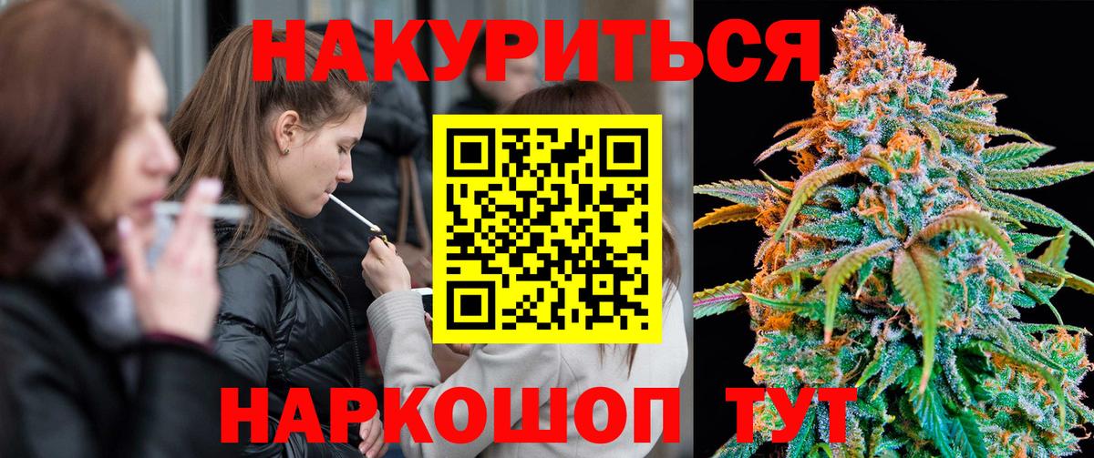 Каннабис конопля Кольчугино